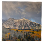 Herbstfarben von Aspens, Keebler Pass Fliese (Vorderseite)