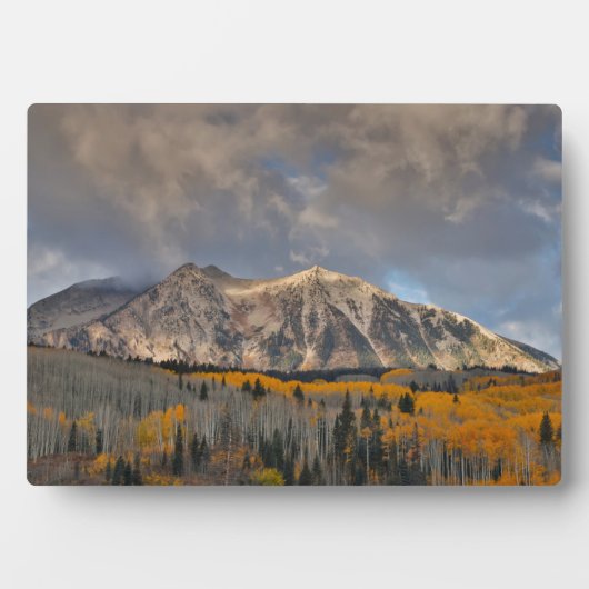 Herbstfarben von Aspens, Keebler Pass Fotoplatte (Vorderseite)