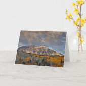 Herbstfarben von Aspens, Keebler Pass Karte (Gelbe Blume)