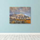 Herbstfarben von Aspens, Keebler Pass Leinwanddruck (Insitu (Holzboden))
