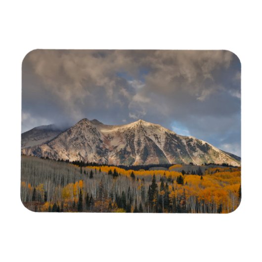 Herbstfarben von Aspens, Keebler Pass Magnet (Horizontal)