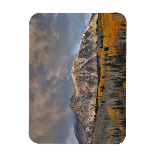 Herbstfarben von Aspens, Keebler Pass Magnet (Vertikal)