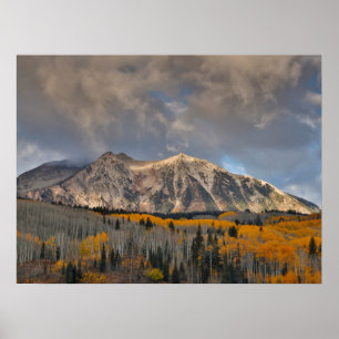 Herbstfarben von Aspens, Keebler Pass Poster