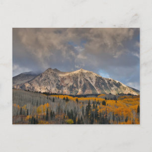 Herbstfarben von Aspens, Keebler Pass Postkarte