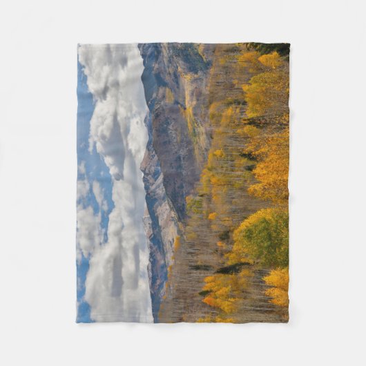Herbstfarben von Aspens & Oaks Keebler Pass Fleecedecke (Vorderseite)