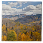 Herbstfarben von Aspens & Oaks Keebler Pass Fliese (Vorderseite)