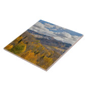 Herbstfarben von Aspens & Oaks Keebler Pass Fliese (Seite)