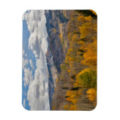 Herbstfarben von Aspens & Oaks Keebler Pass Magnet (Vertikal)