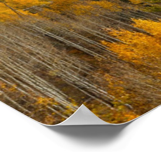 Herbstfarben von Aspens & Oaks Keebler Pass Poster (Ecke)