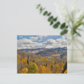 Herbstfarben von Aspens & Oaks Keebler Pass Postkarte (Stehend Vorderseite)