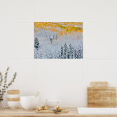 Herbstfarben von Aspens | Rocky Mountains, Colorad Poster (Küche)