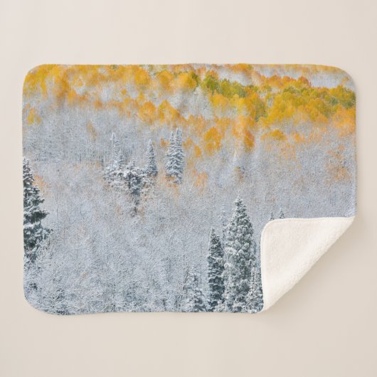 Herbstfarben von Aspens | Rocky Mountains, Colorad Sherpadecke (Vorderseite (Horizontal))