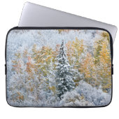 Herbstfarben von Aspens & Snow Keebler Pass Laptopschutzhülle (Vorderseite)