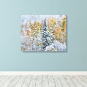 Herbstfarben von Aspens & Snow Keebler Pass Leinwanddruck (Insitu (Holzboden))