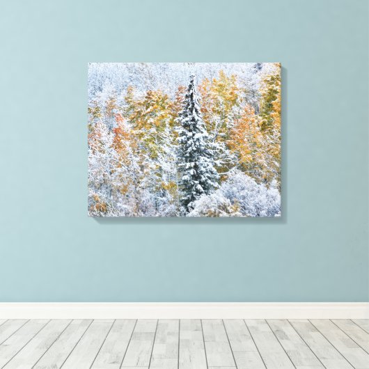 Herbstfarben von Aspens & Snow Keebler Pass Leinwanddruck (Insitu (Holzboden))