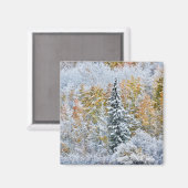 Herbstfarben von Aspens & Snow Keebler Pass Magnet (Vorderseite/Rückseite)