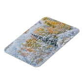 Herbstfarben von Aspens & Snow Keebler Pass Magnet (Linke Seite)