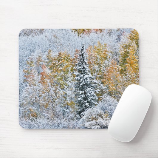 Herbstfarben von Aspens & Snow Keebler Pass Mousepad (Mit Mouse)