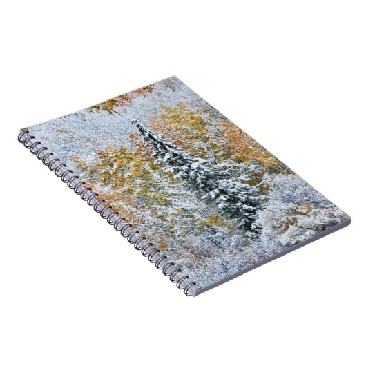 Herbstfarben von Aspens & Snow Keebler Pass Notizblock (Rechte Seite)