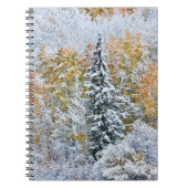 Herbstfarben von Aspens & Snow Keebler Pass Notizblock (Vorderseite)