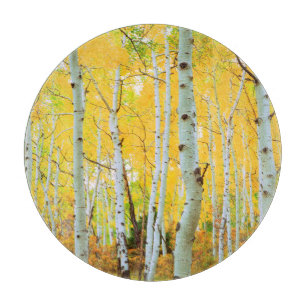Herbstfarben von Espen 1 Schneidebrett