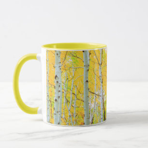 Herbstfarben von Espen 1 Tasse