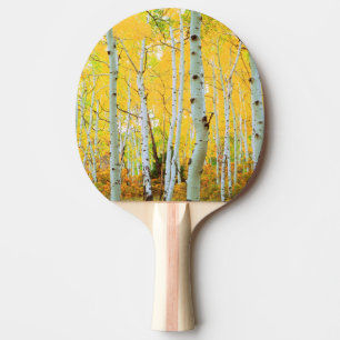 Herbstfarben von Espen 1 Tischtennis Schläger