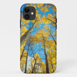 Herbstfarben von Espen 2 Case-Mate iPhone Hülle