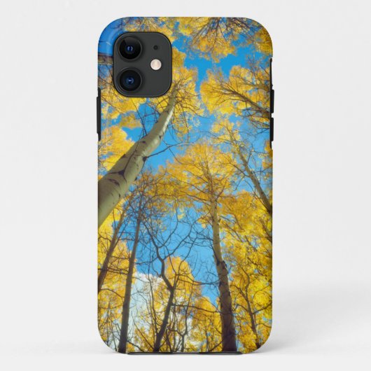 Herbstfarben von Espen 2 Case-Mate iPhone Hülle (Rückseite)