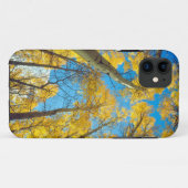 Herbstfarben von Espen 2 Case-Mate iPhone Hülle (Rückseite (Horizontal))