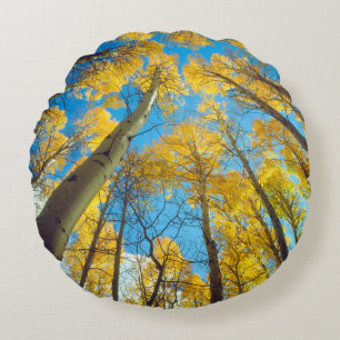 Herbstfarben von Espen 2 Rundes Kissen