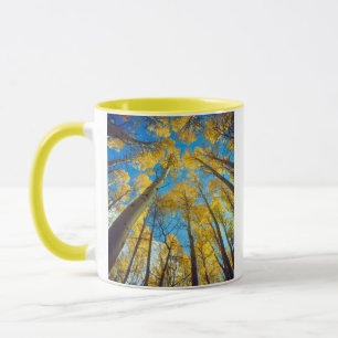 Herbstfarben von Espen 2 Tasse