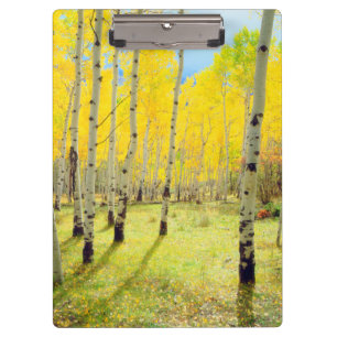 Herbstfarben von Espen 4 Klemmbrett