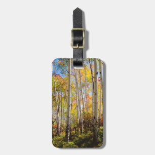 Herbstfarben von Espen 5 Gepäckanhänger