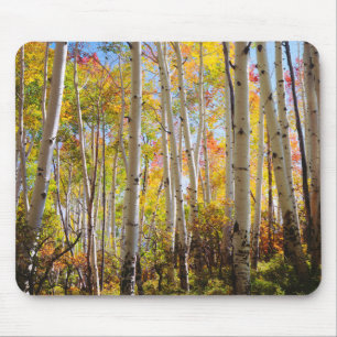 Herbstfarben von Espen 5 Mousepad