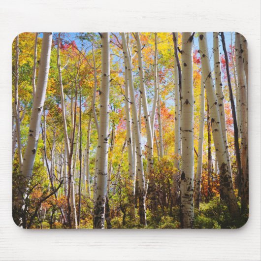Herbstfarben von Espen 5 Mousepad (Vorne)