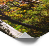 Herbstfarben von Espen 5 Poster (Ecke)