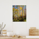 Herbstfarben von Espen 5 Poster (Küche)