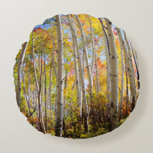 Herbstfarben von Espen 5 Rundes Kissen