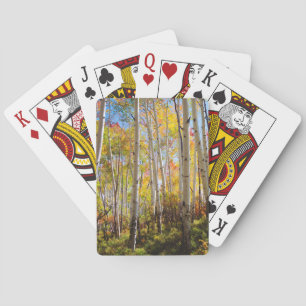 Herbstfarben von Espen 5 Spielkarten