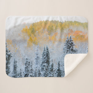 Herbstfarben von Espen & frischer Schnee Keebler P Sherpadecke