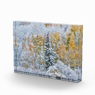 Herbstfarben von Espen & Schnee Keebler Pass Fotoblock