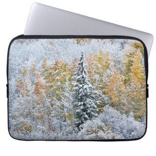 Herbstfarben von Espen & Schnee Keebler Pass Laptopschutzhülle