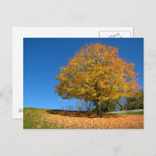 Herbstfarben, West Virginia Postkarte (Vorne/Hinten)