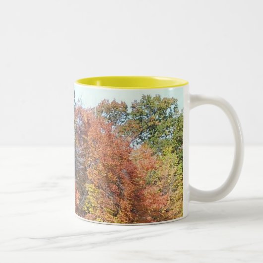 Herbstfarben Zweifarbige Tasse (Rechts)