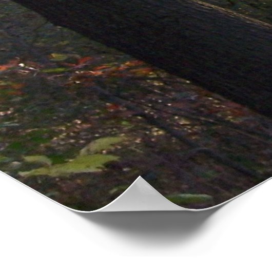 Herbstfarbene Trail Canvas Print Poster (Ecke)