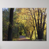 Herbstfarbene Trail Canvas Print Poster (Vorne)
