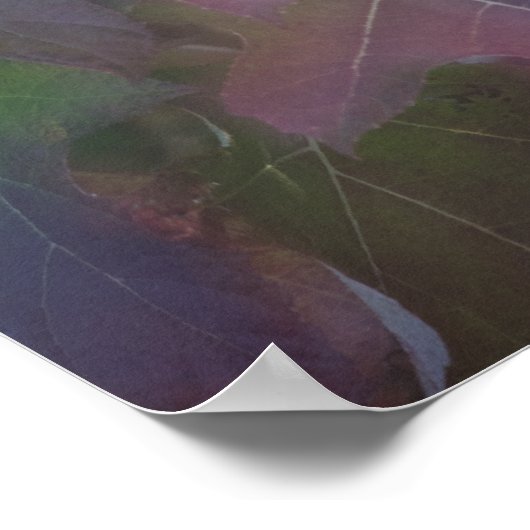 Herbstfarbener Eichenholz Hydrangea Poster (Ecke)