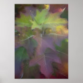 Herbstfarbener Eichenholz Hydrangea Poster (Vorne)