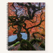 Herbstfarbener Gnarly Japanischer Ahornbaum Notizblock (Vorderseite)
